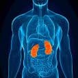 Nephrotic Syndrome treatment
